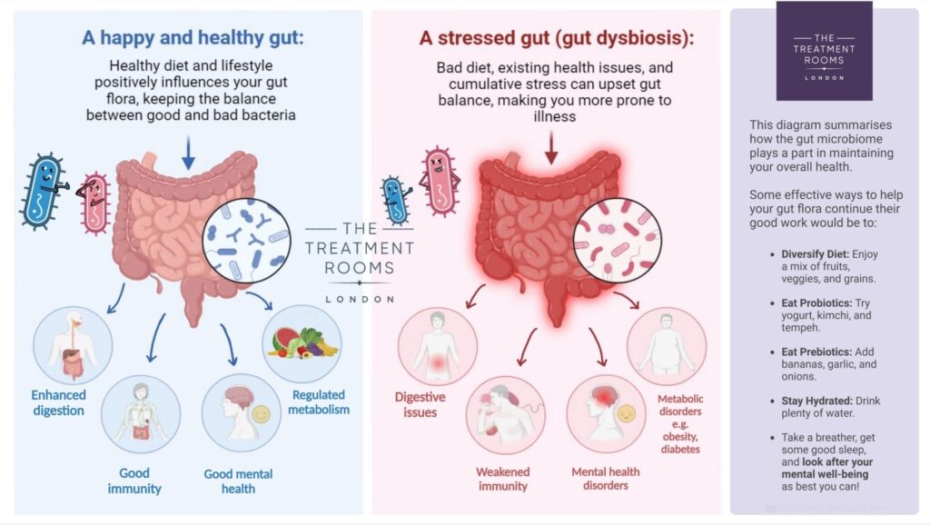 healthy gut vs unhealthy gut